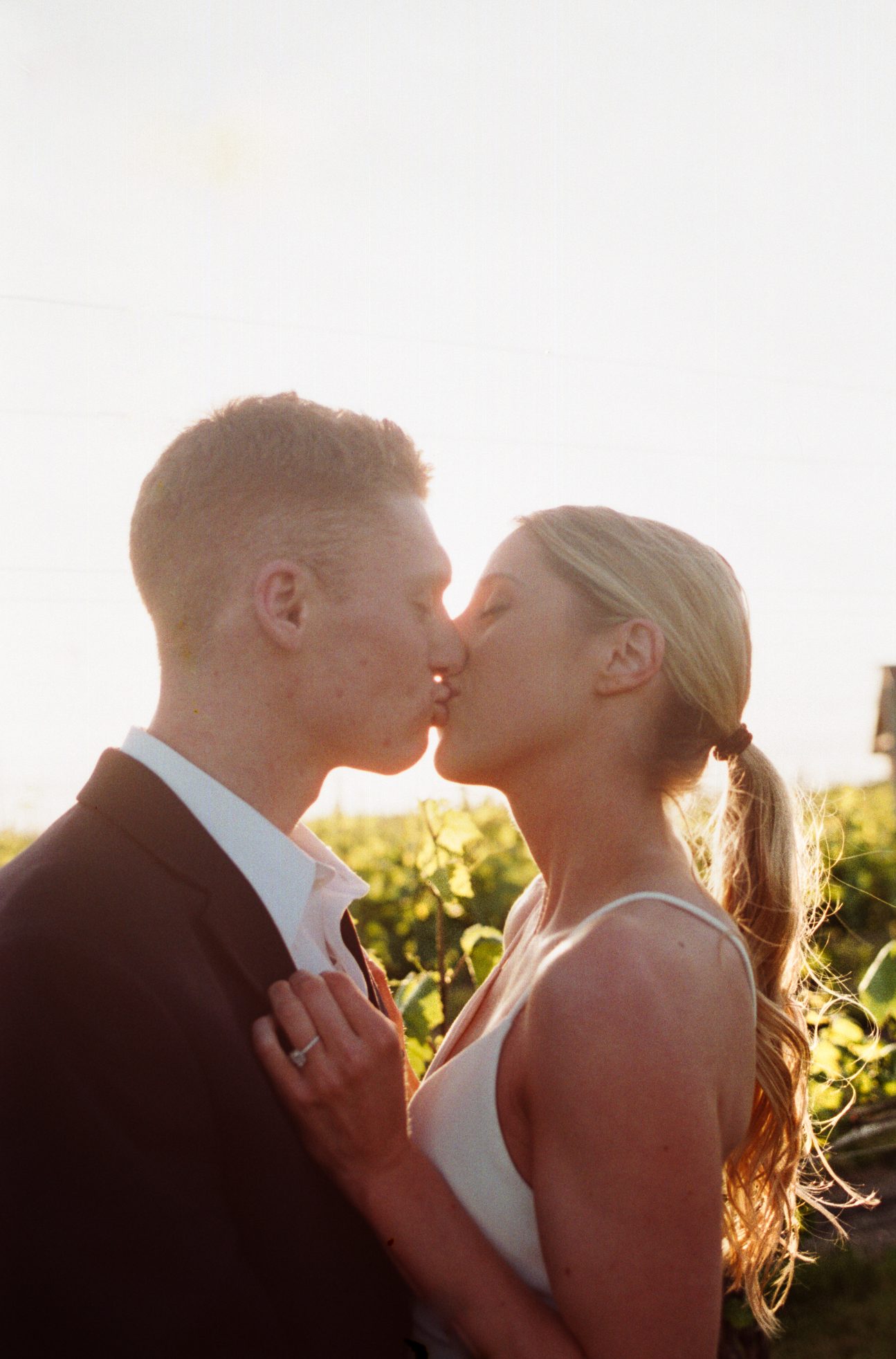 Vineyard kiss at sunset